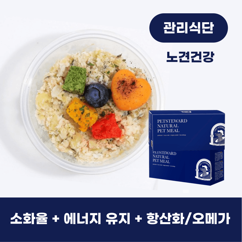 노견 건강 관리식단